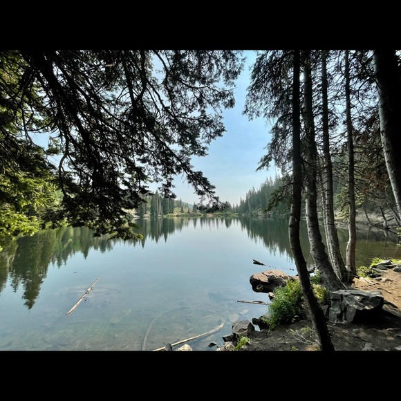 Meet your Posher, Sydney - Picture 1 of 1